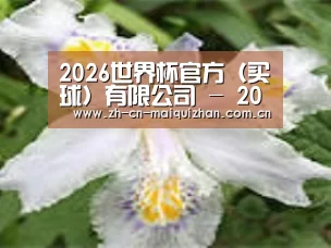产品名称二