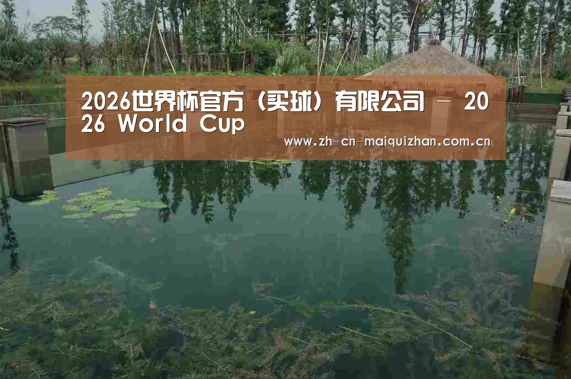 案例展示二