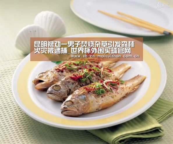 昆明禄劝一男子焚烧杂草引发森林火灾被逮捕_世界杯外围买球官网(图2) 世界杯投注