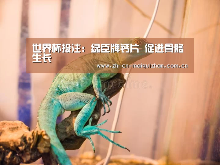 世界杯投注:绿臣牌钙片 促进骨骼生长(图1) 世界杯买球网站