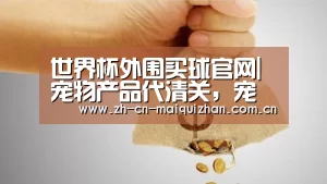 世界杯外围买球官网