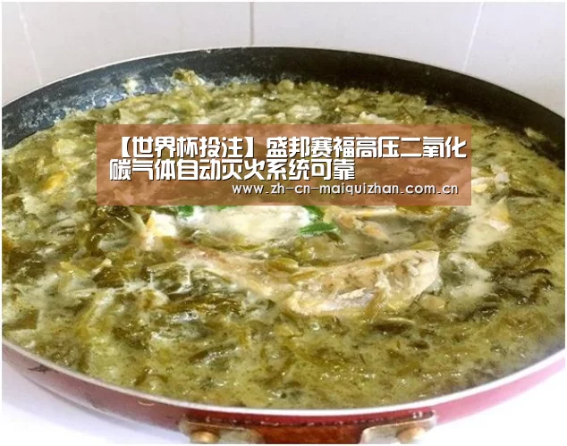 【世界杯投注】盛邦赛福高压二氧化碳气体自动灭火系统可靠(图1) 世界杯买球网站