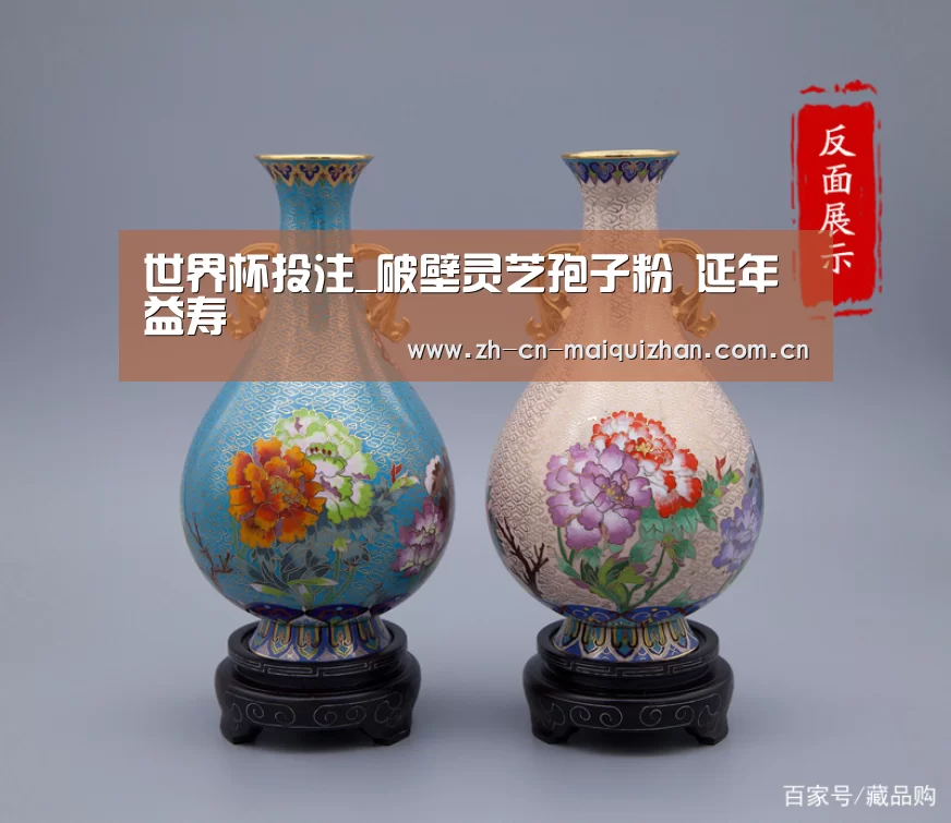 世界杯投注_破壁灵芝孢子粉 延年益寿(图3) 世界杯外围买球官网