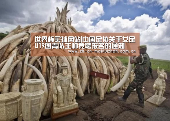 世界杯买球网站|中国足协关于女足U19国青队主帅竞聘报名的通知(图2) 世界杯投注