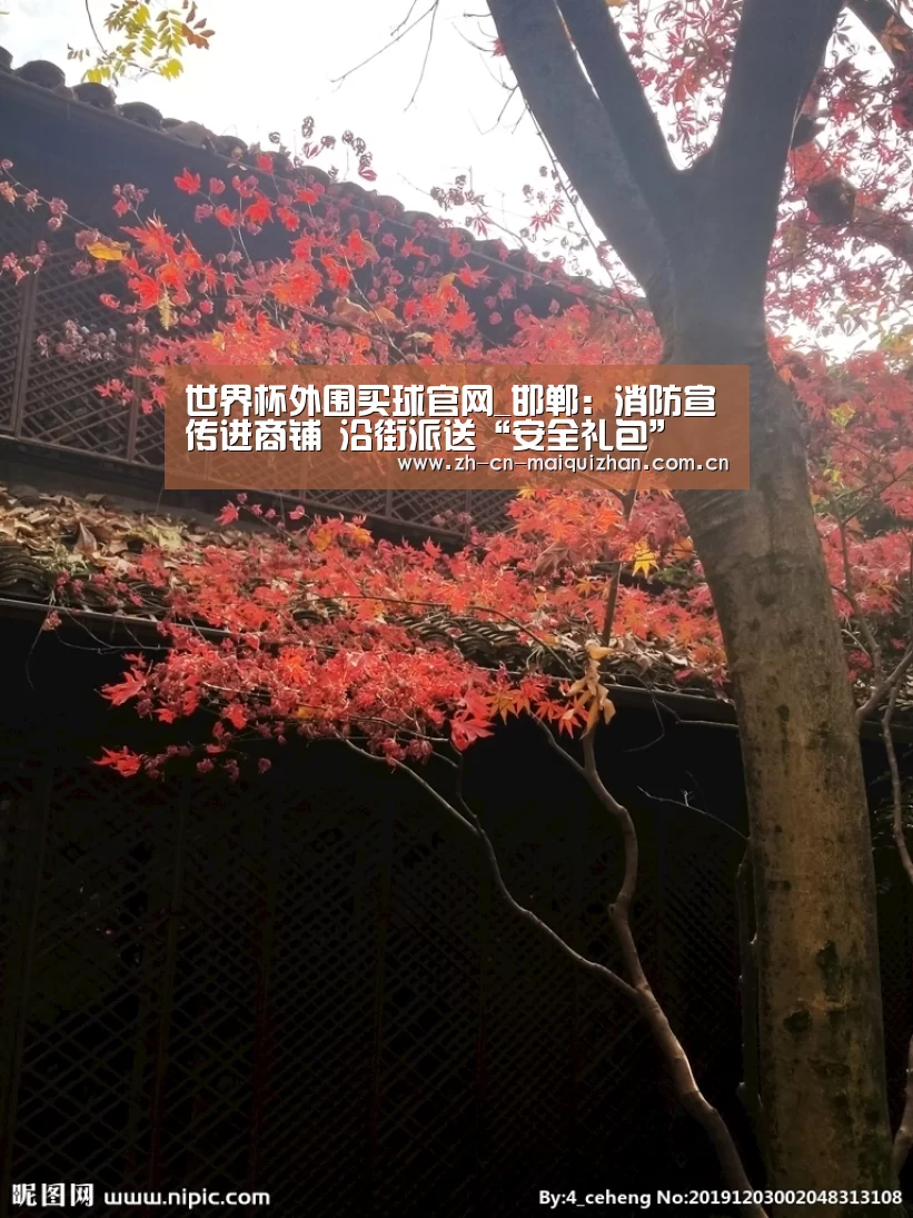 世界杯外围买球官网_邯郸:消防宣传进商铺 沿街派送“安全礼包”(图1) 世界杯投注