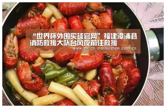世界杯买球网站