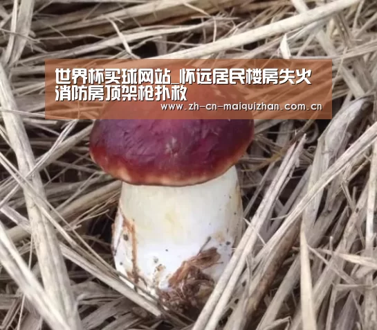 世界杯买球网站_怀远居民楼房失火 消防房顶架枪扑救(图3) 世界杯买球网站