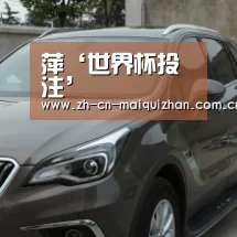 萍‘世界杯投注’(图1) 世界杯外围买球官网