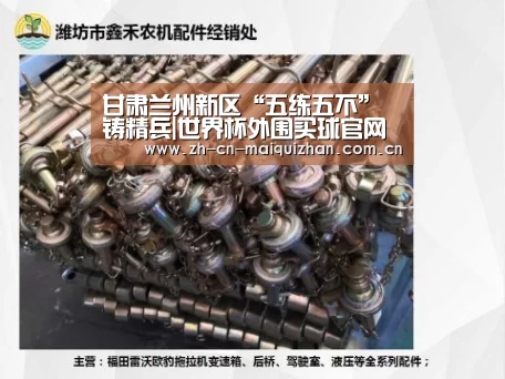 甘肃兰州新区“五练五不”铸精兵|世界杯外围买球官网(图2) 世界杯买球网站